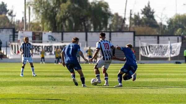 What should you consider when choosing the right pet for your family dynamic?